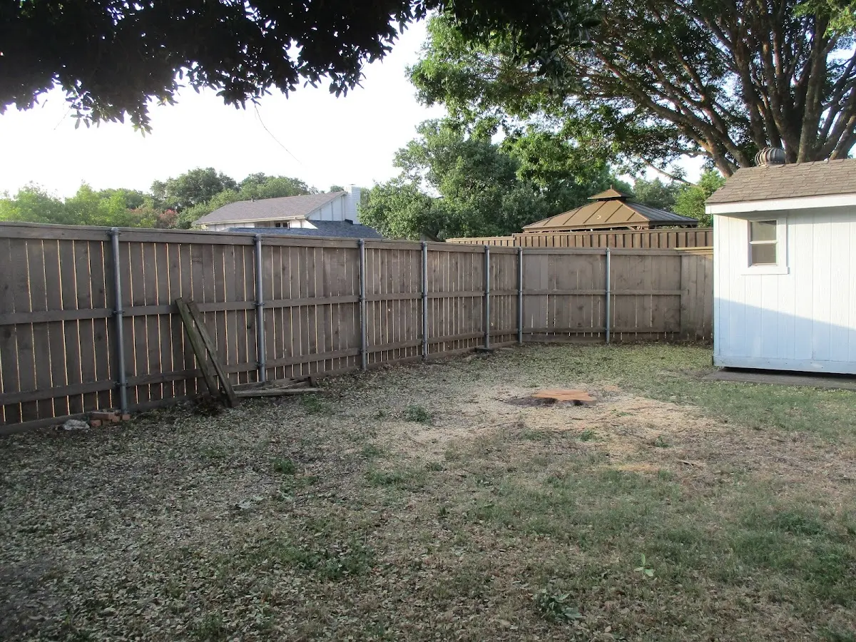 Cleared yard after professional tree removal in Lewistown