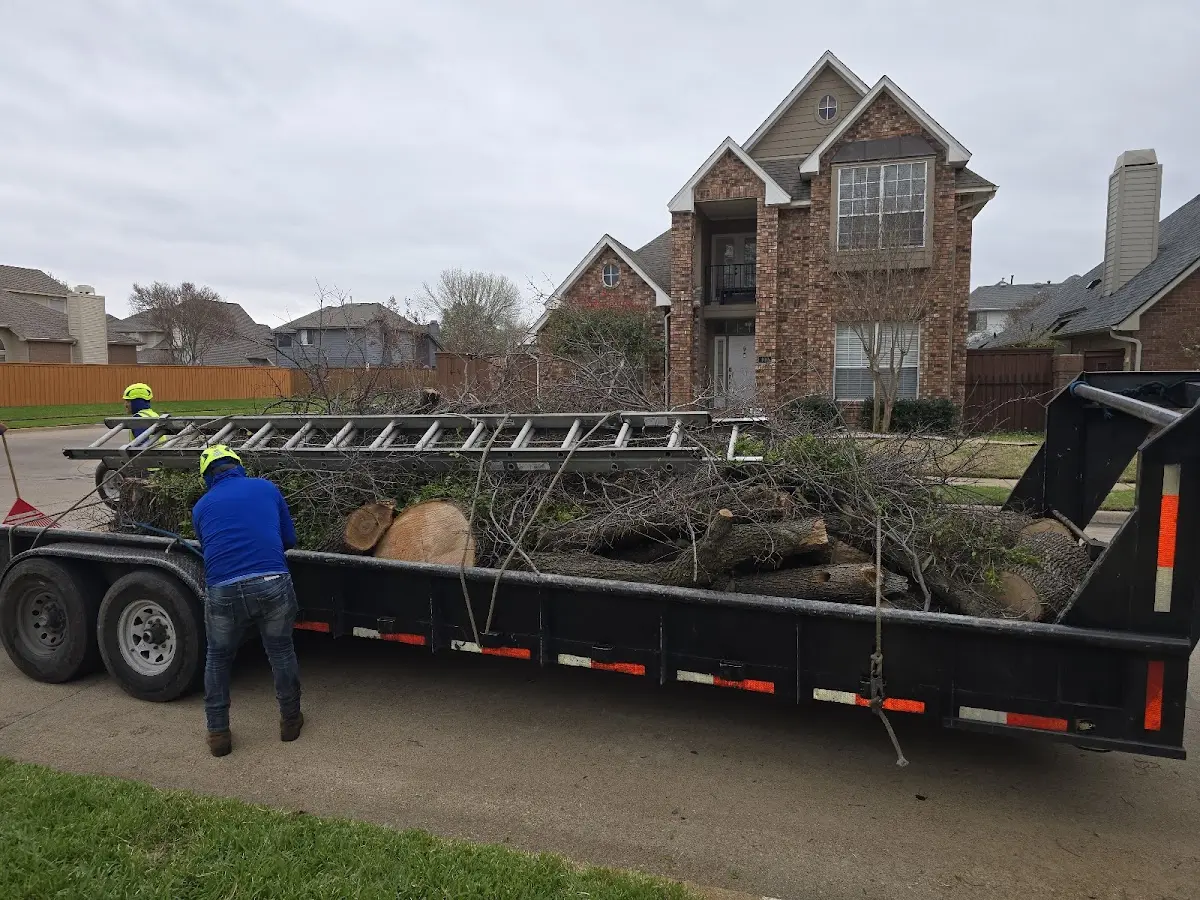 Expert Tree Fertilization with proper safety equipment in Lewistown